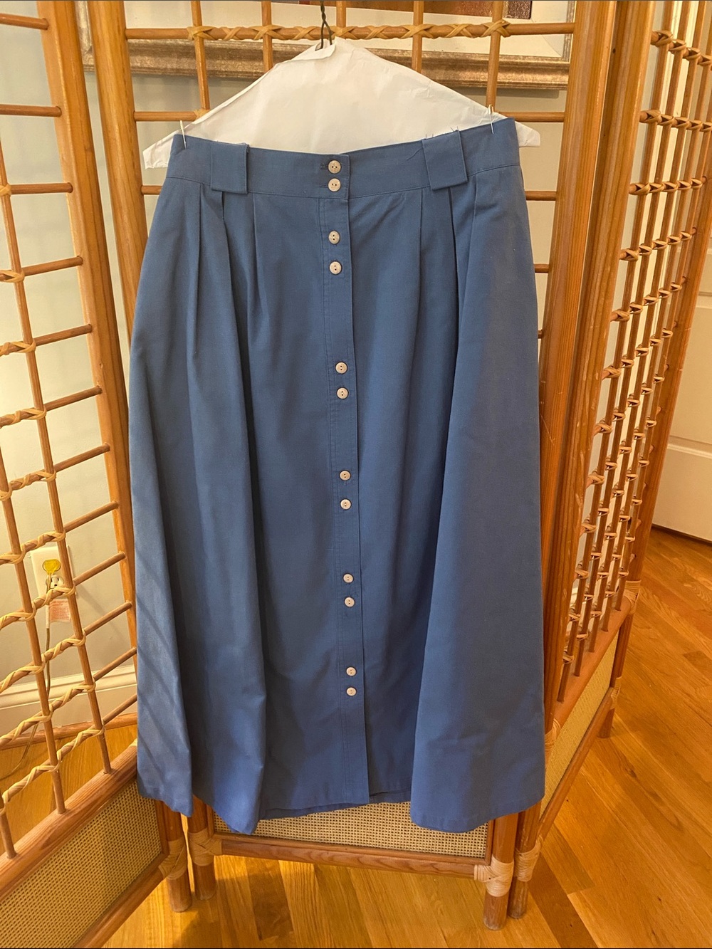 Button-Front A-Line Skirt in Dusty Blue